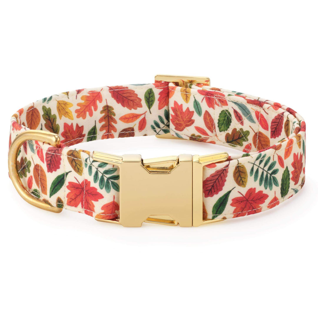 Falling Leaves Dog Collar