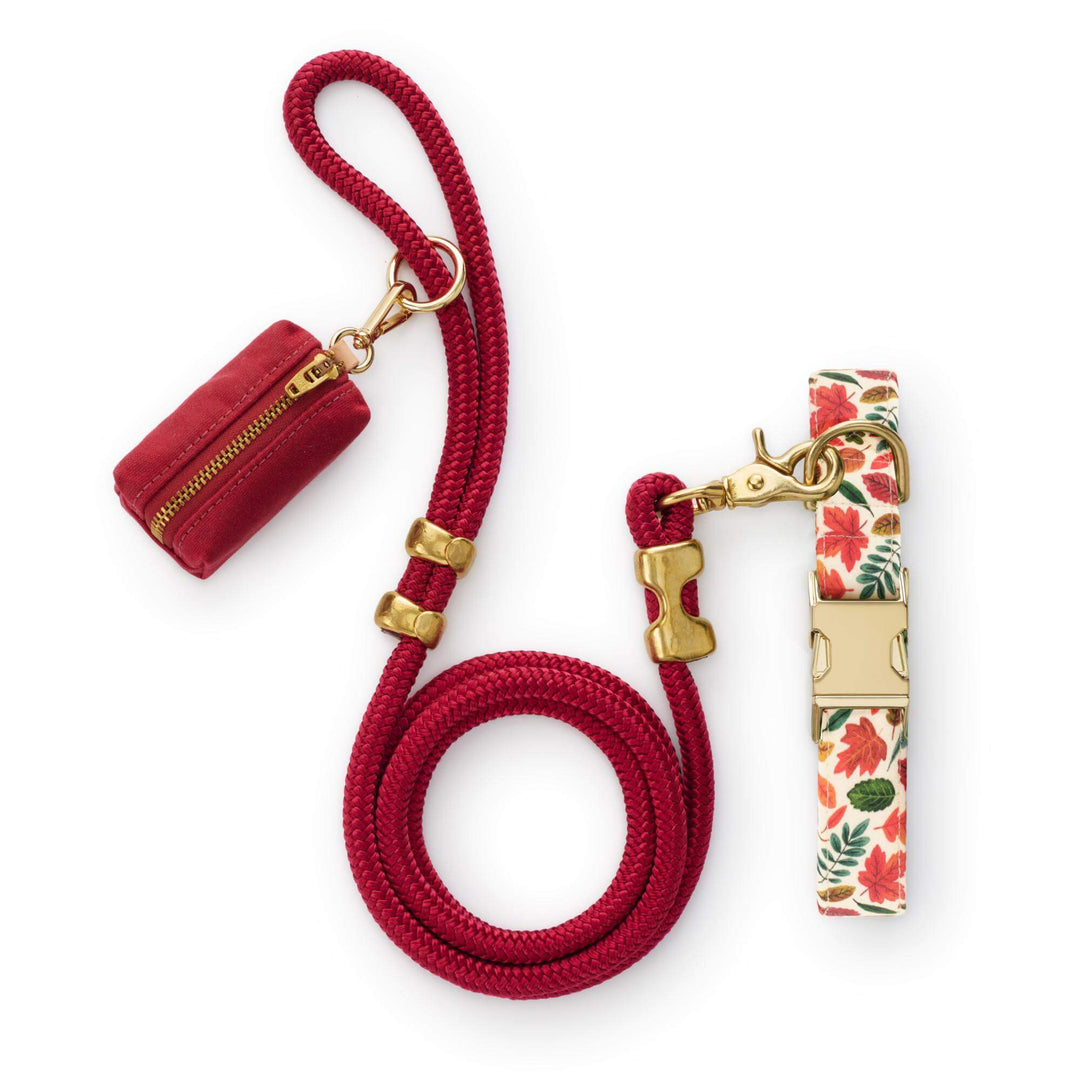 Falling Leaves Collar Walk Set