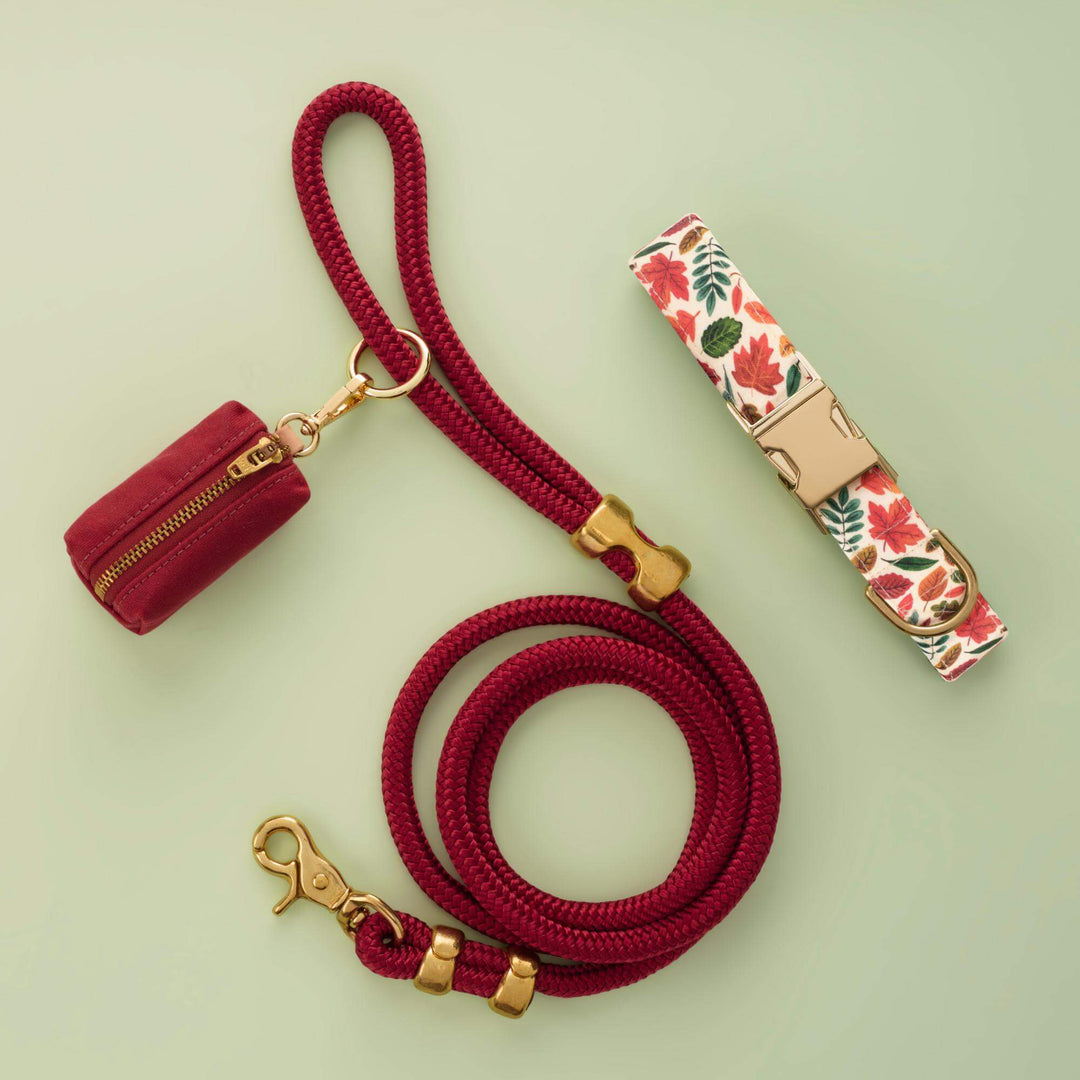 Falling Leaves Collar Walk Set
