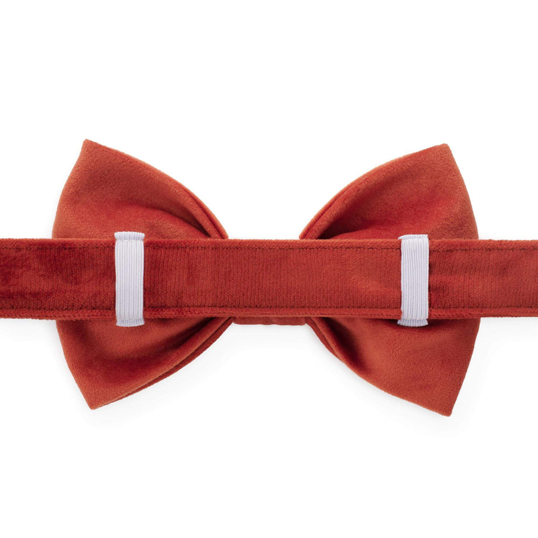 Football Embroidered Bow Tie Collar
