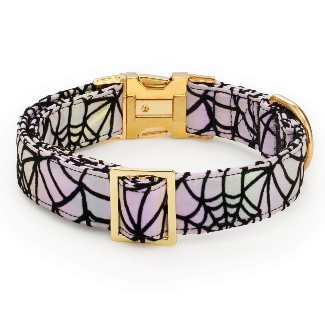 Holographic Spiderweb Dog Collar