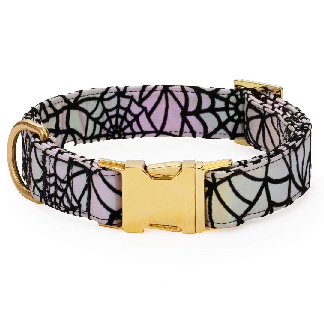 Holographic Spiderweb Dog Collar
