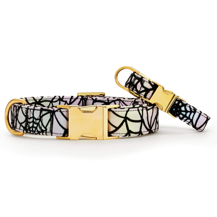 Holographic Spiderweb Dog Collar