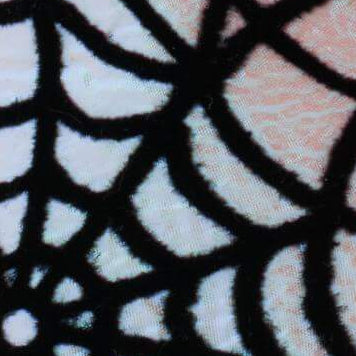 Holographic Spiderweb Lady Dog Bow