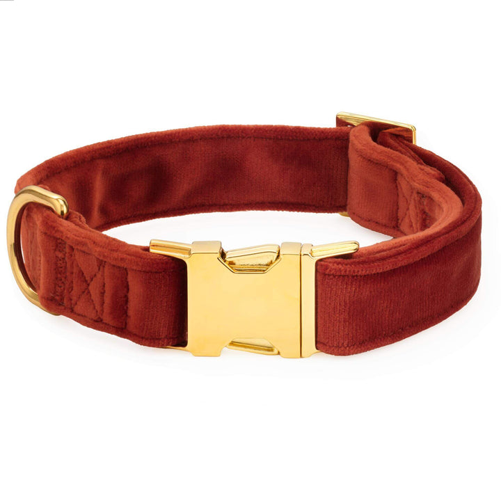 Football Embroidered Lady Bow Collar