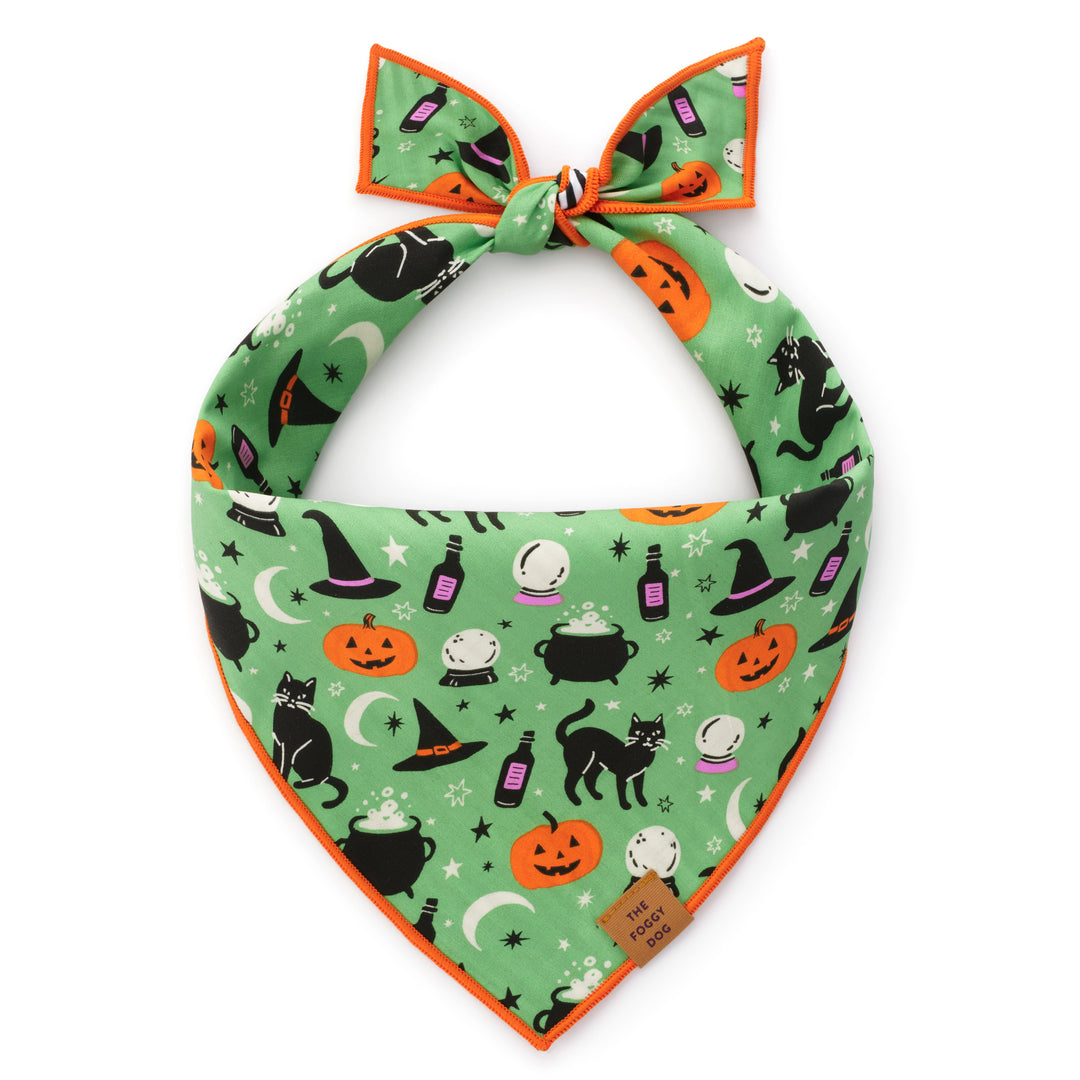 Spellbound Reversible Dog Bandana