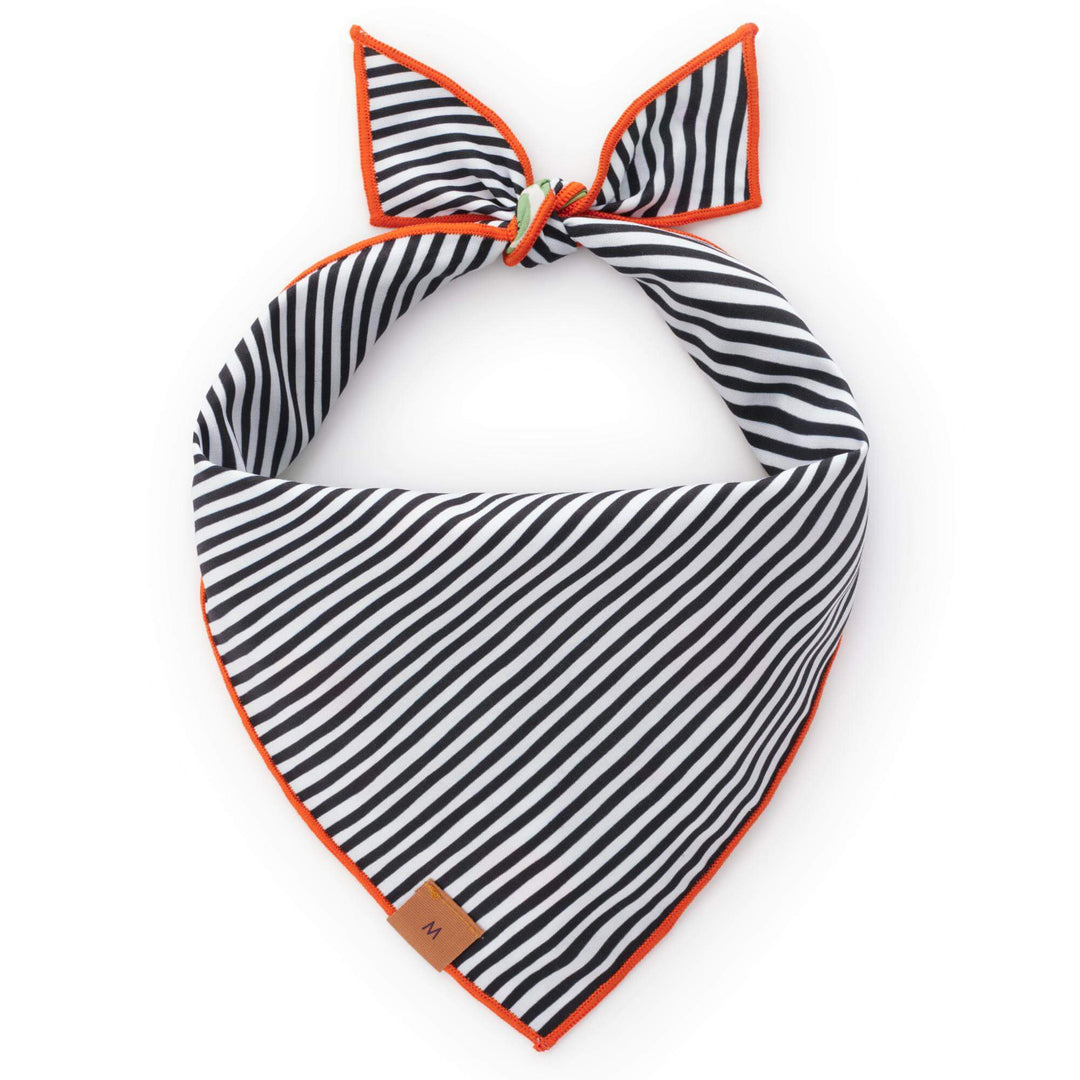 Spellbound Reversible Dog Bandana