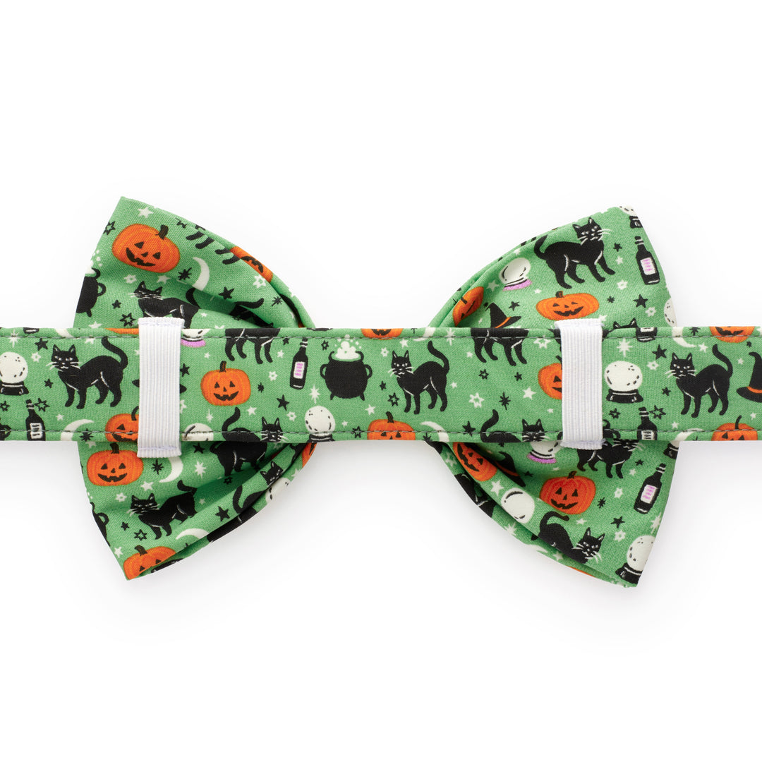 Spellbound Bow Tie Collar