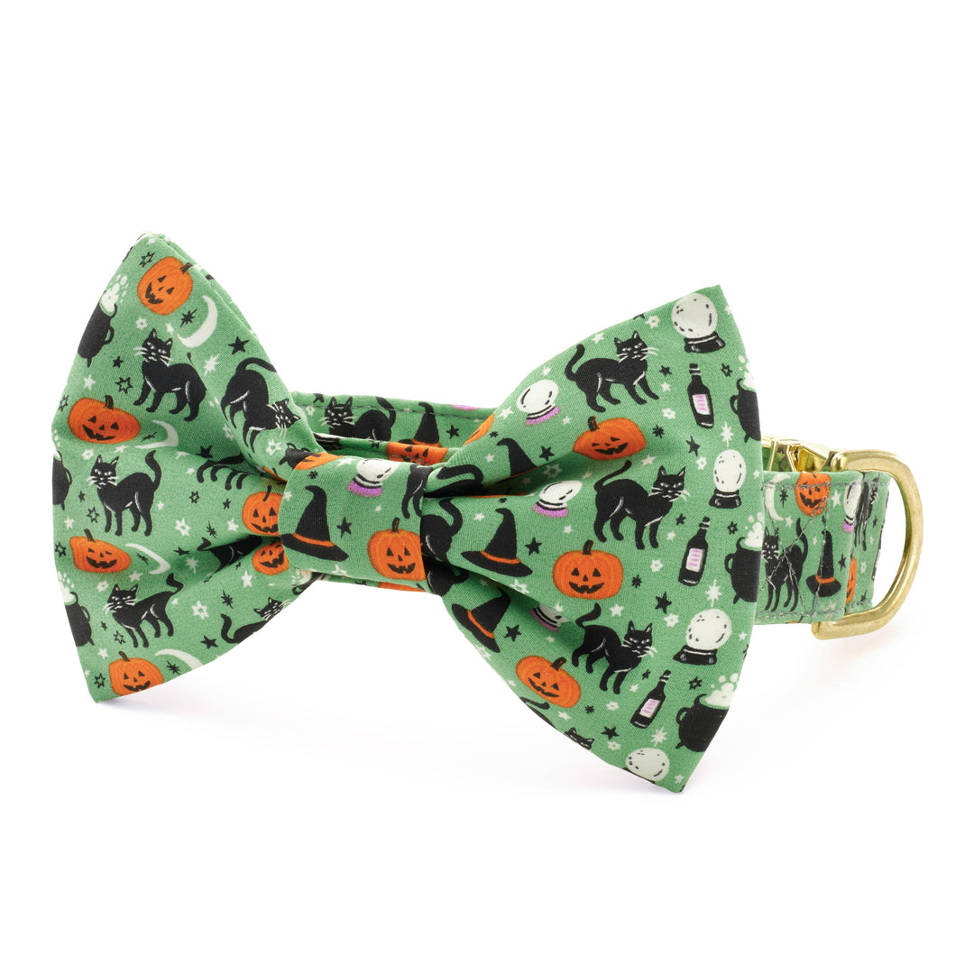 Spellbound Bow Tie Collar