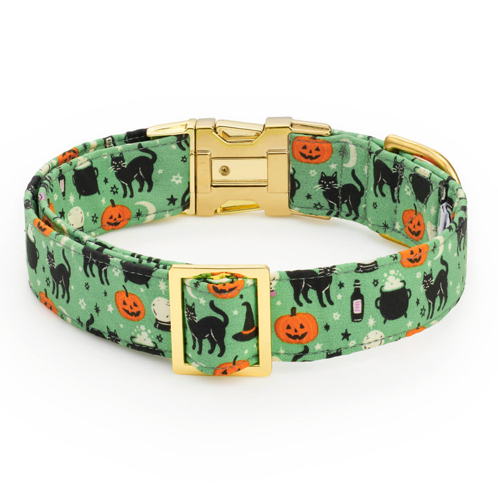 Spellbound Dog Collar