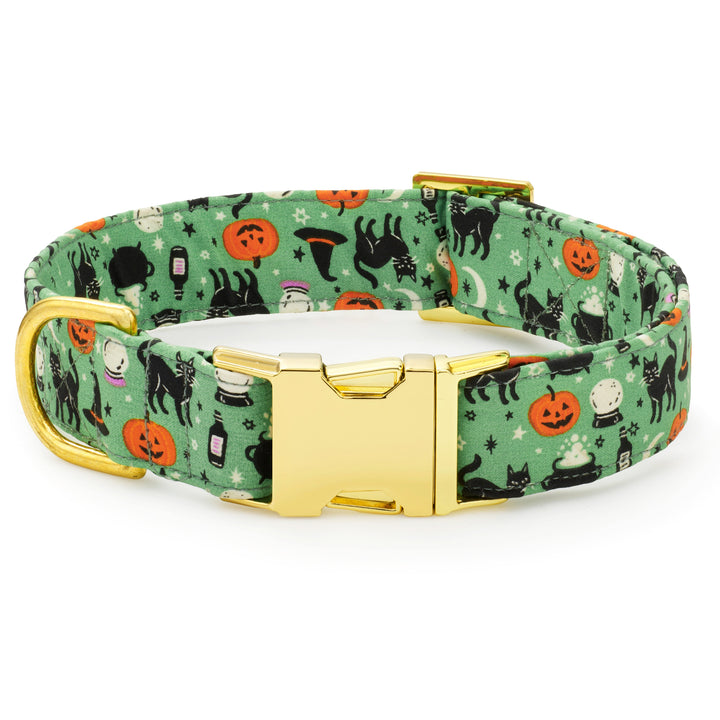 Spellbound Dog Collar