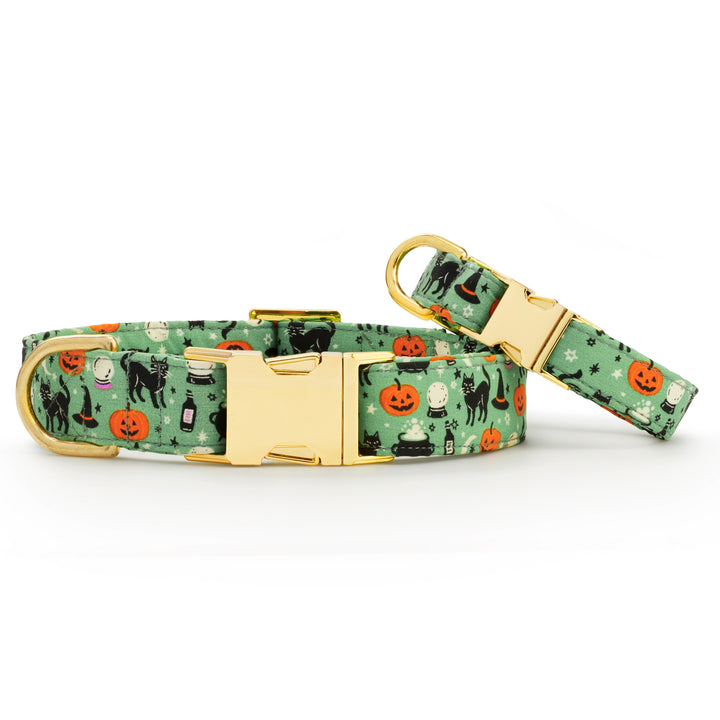 Spellbound Dog Collar