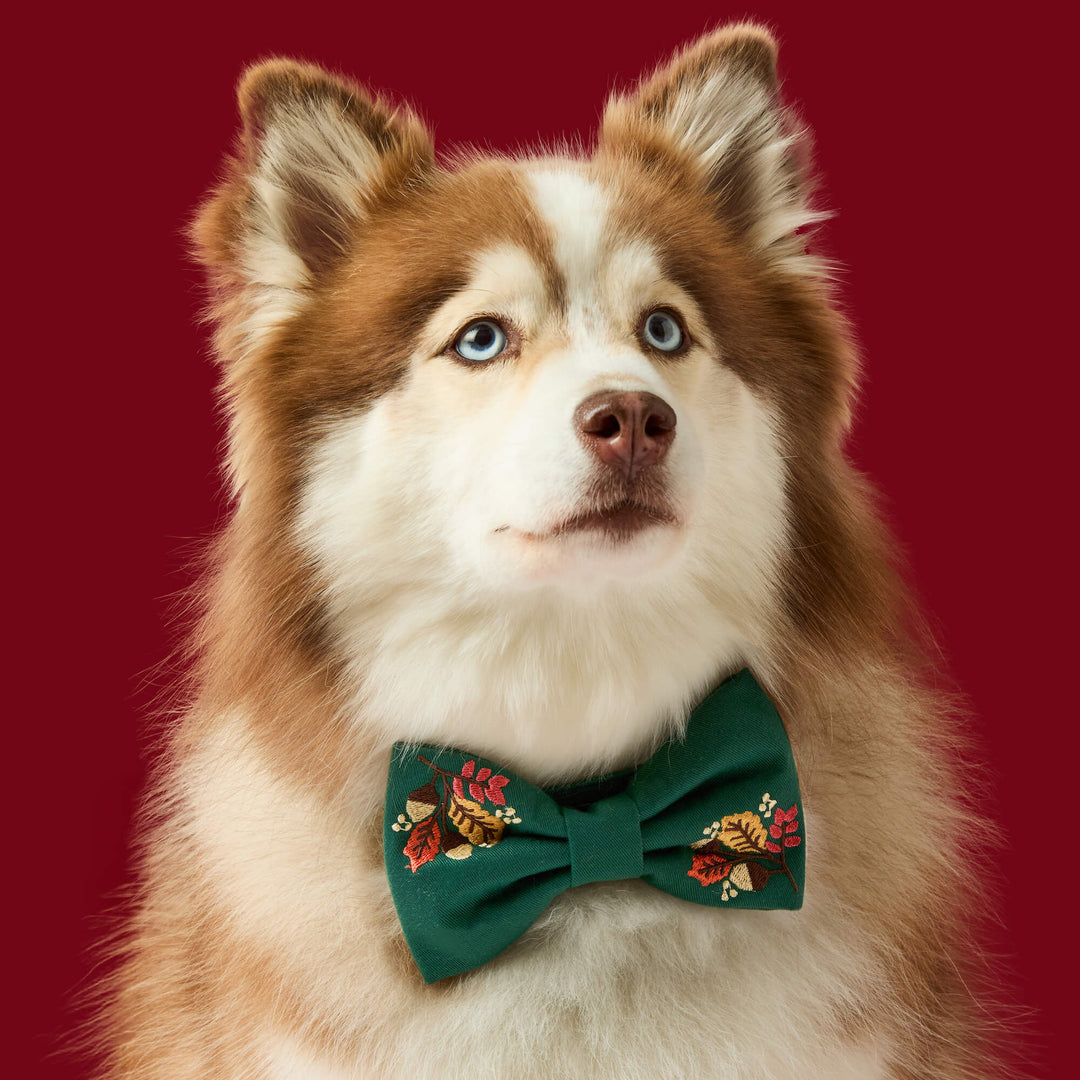 Fall Foliage Embroidered Bow Tie Collar