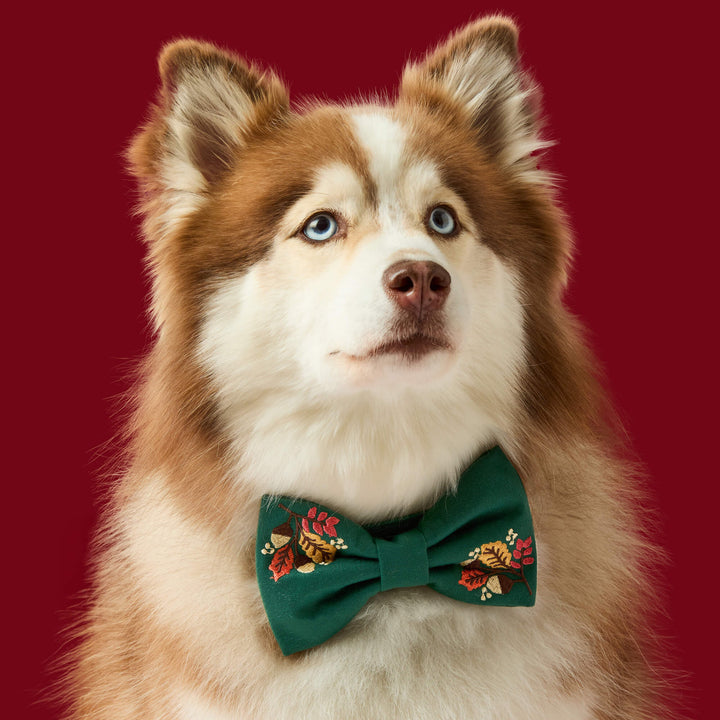 Fall Foliage Embroidered Bow Tie Collar