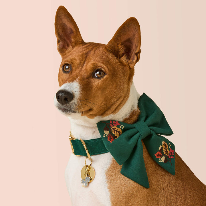 Fall Foliage Embroidered Lady Bow Collar
