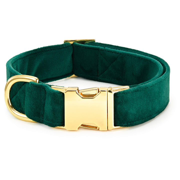 Forest green velvet dog collar without its bow, showing the gold side-release buckle and D-ring.