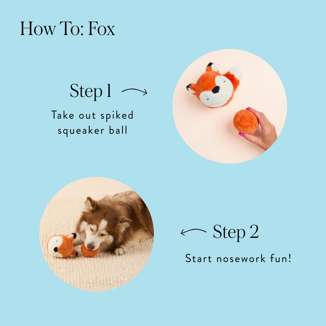 Fox 2-in-1 Bounce Dog Toy