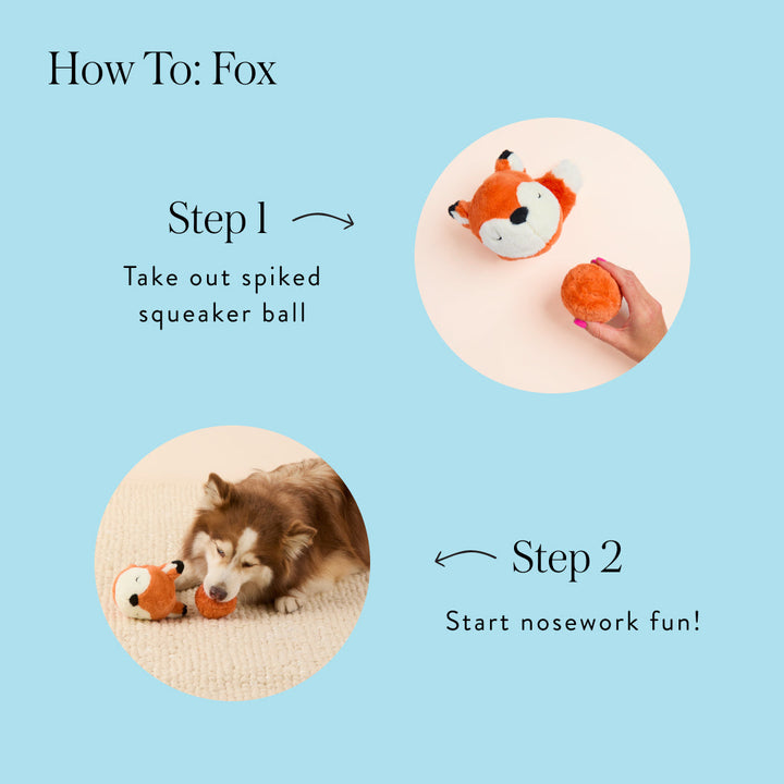 Fox 2-in-1 Bounce Dog Toy