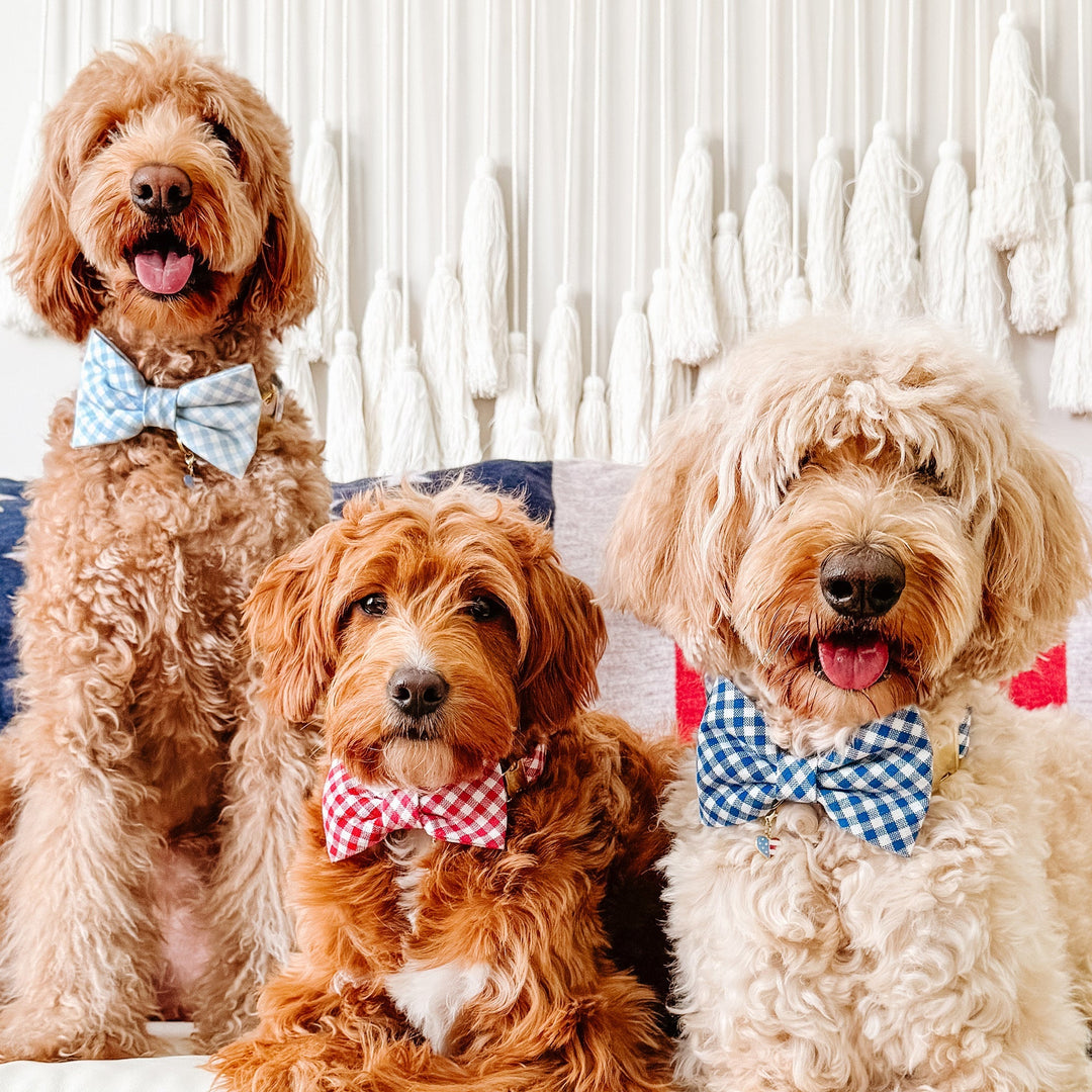 Lake Blue Gingham Bow Tie Collar