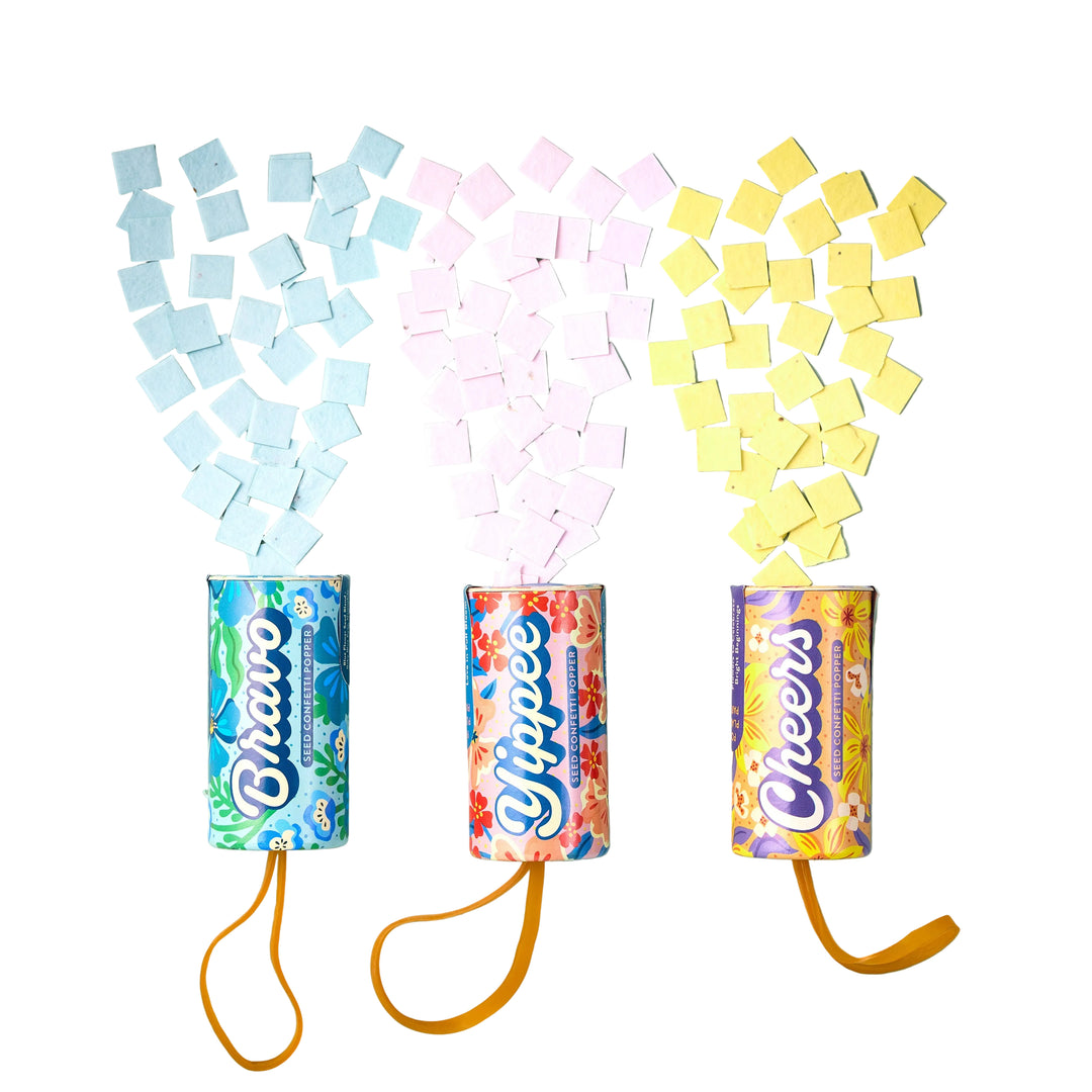 Seed Confetti Popper Modern Sprout Playful Planting Seed Confetti Popper Bonjour Fete - Party Supplies