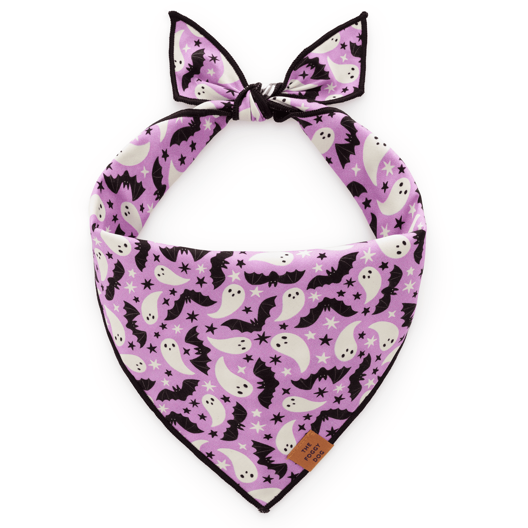 Spooky Season Reversible Dog Bandana