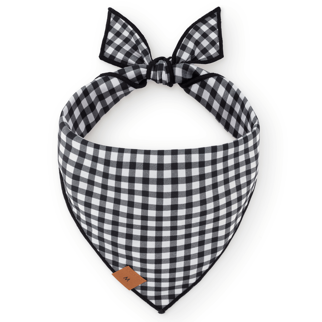 Spooky Season Reversible Dog Bandana