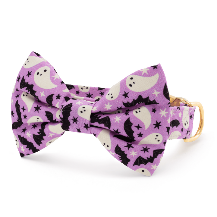 Spooky Season Bow Tie Collar