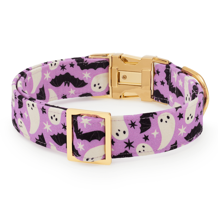 Spooky Season Dog Collar