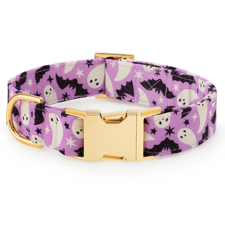 Spooky Season Lady Bow Collar