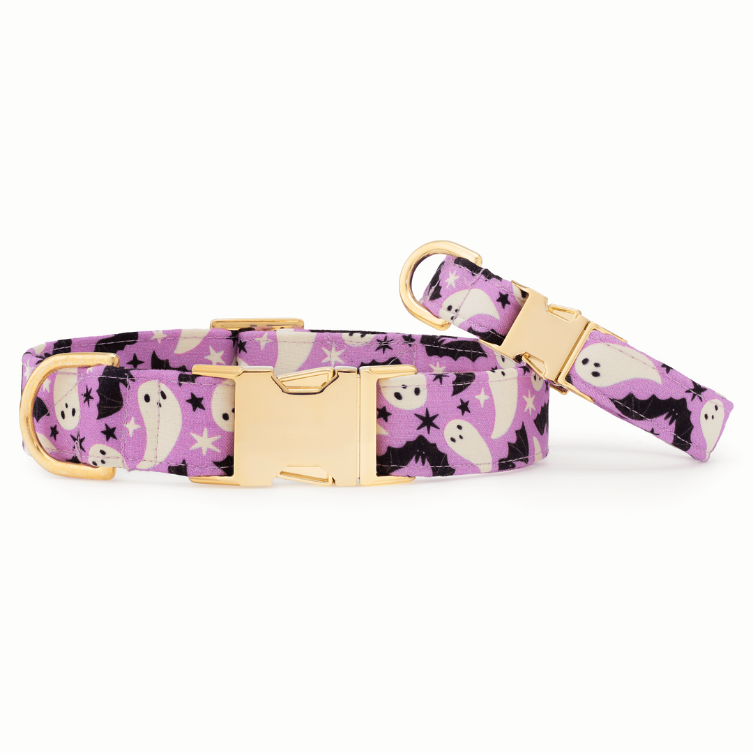 Spooky Season Dog Collar