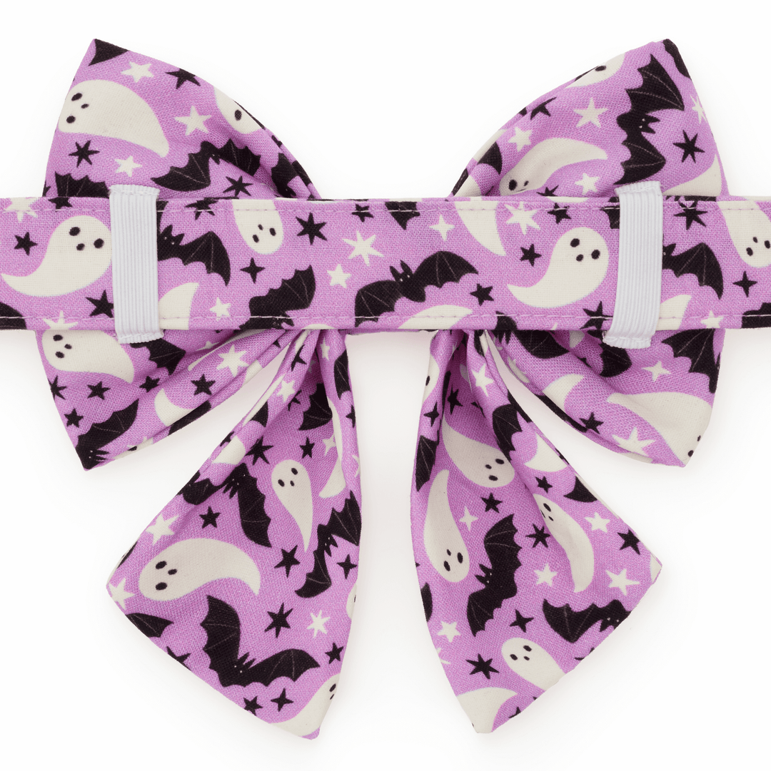 Spooky Season Lady Bow Collar