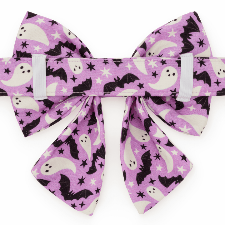 Spooky Season Lady Bow Collar