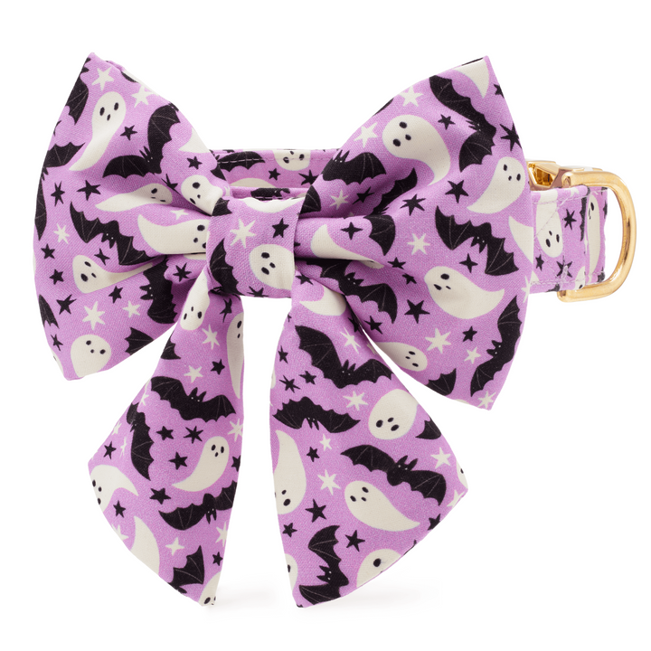 Spooky Season Lady Bow Collar
