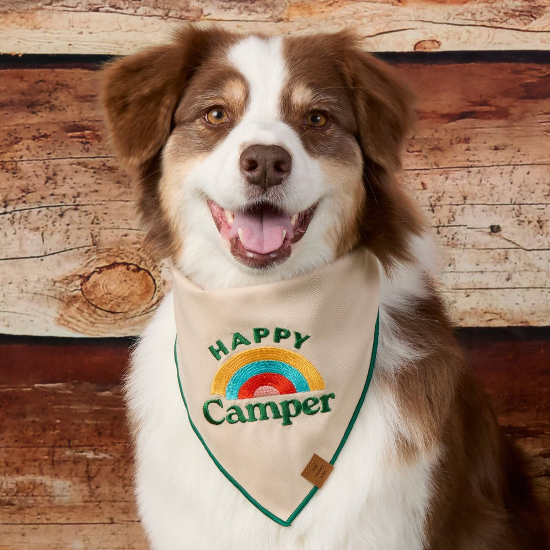 Happy Camper Embroidered Dog Bandana