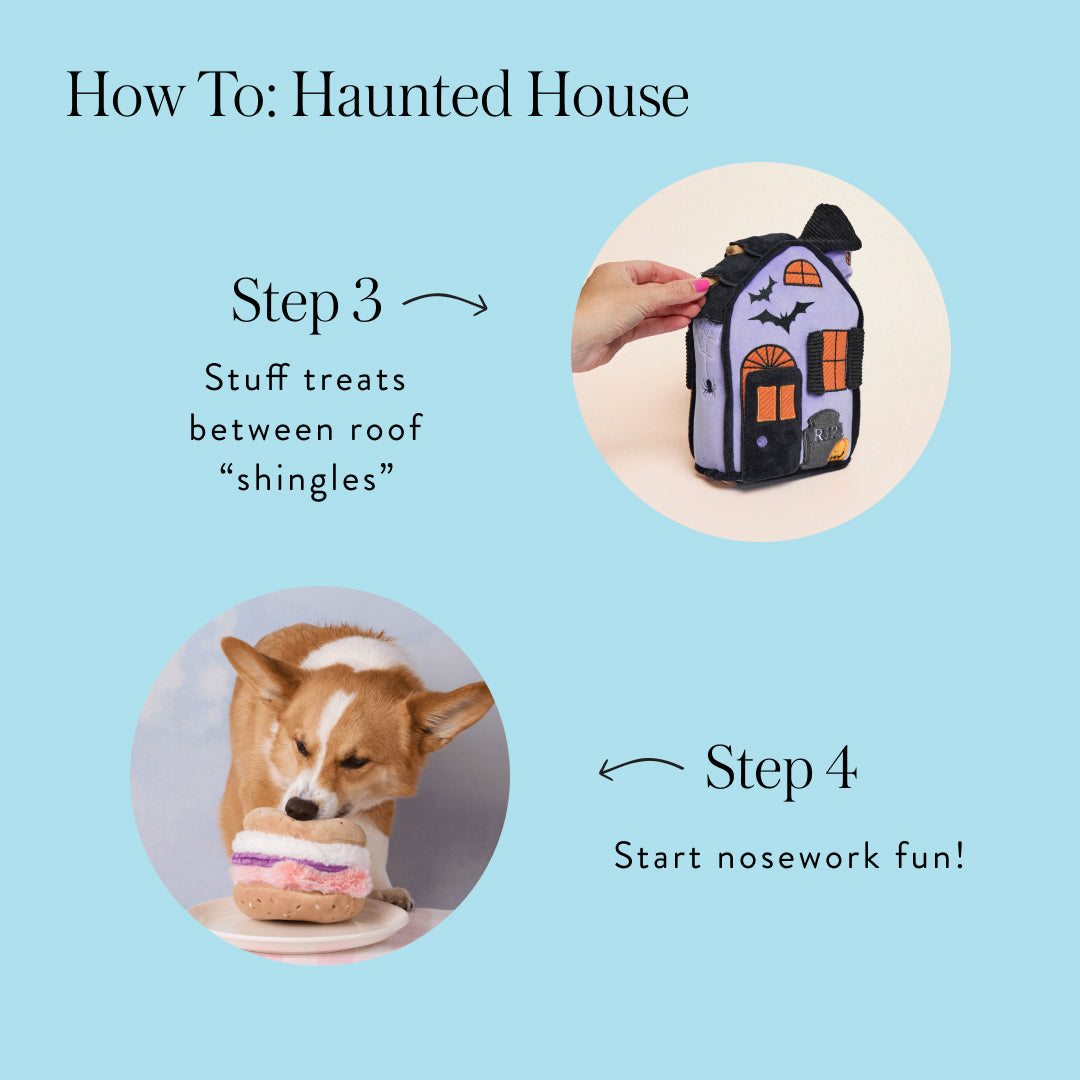 Haunted House Interactive Snuffle Dog Toy