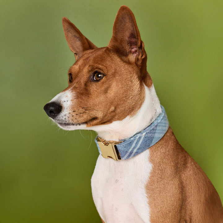 Hawthorne Plaid Flannel Dog Collar