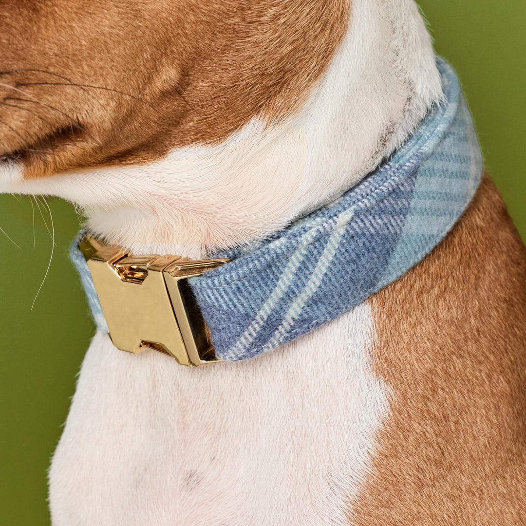 Hawthorne Plaid Flannel Dog Collar