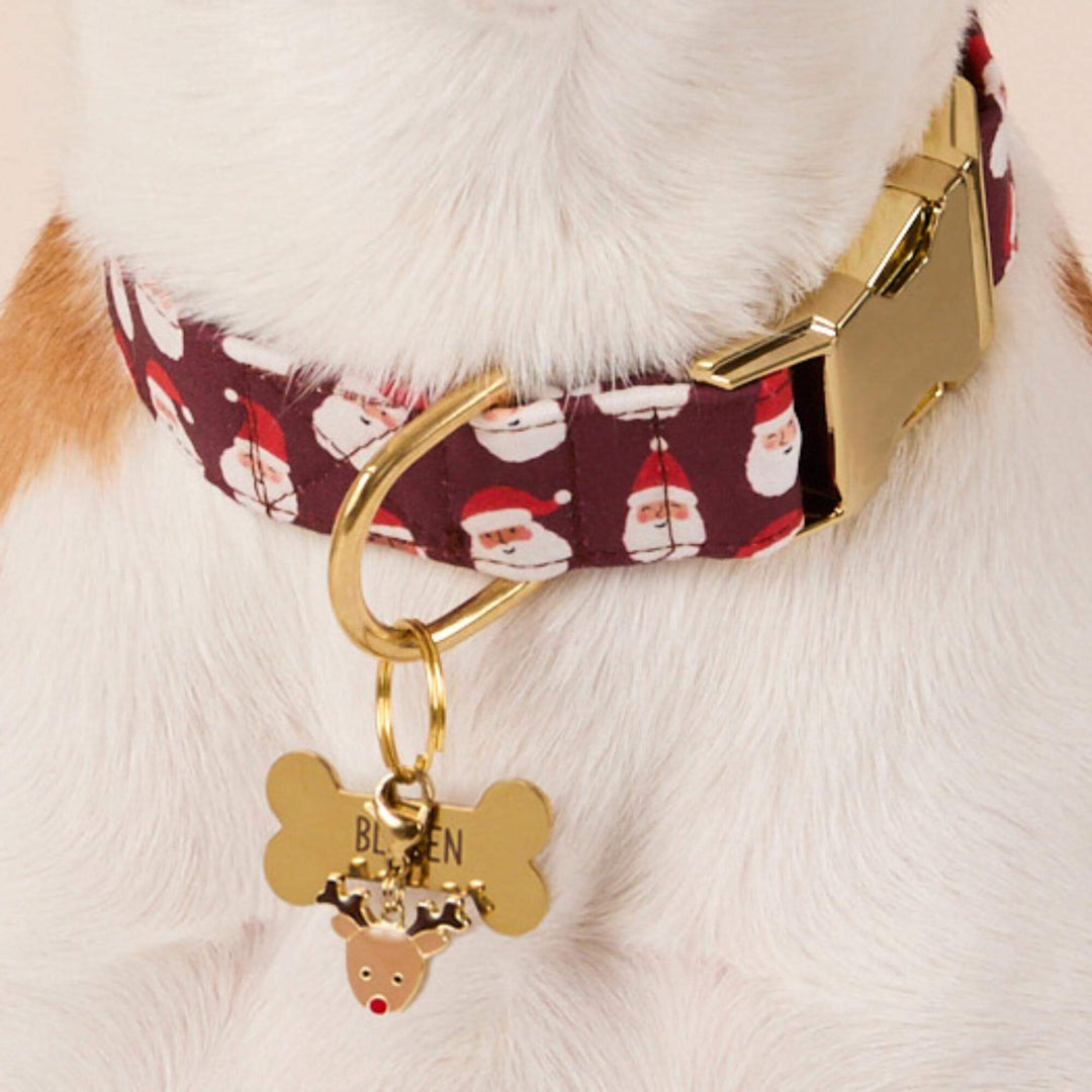 Red-nosed reindeer charm hanging below a gold bone tag on a dog's burgundy Santa-face collar.