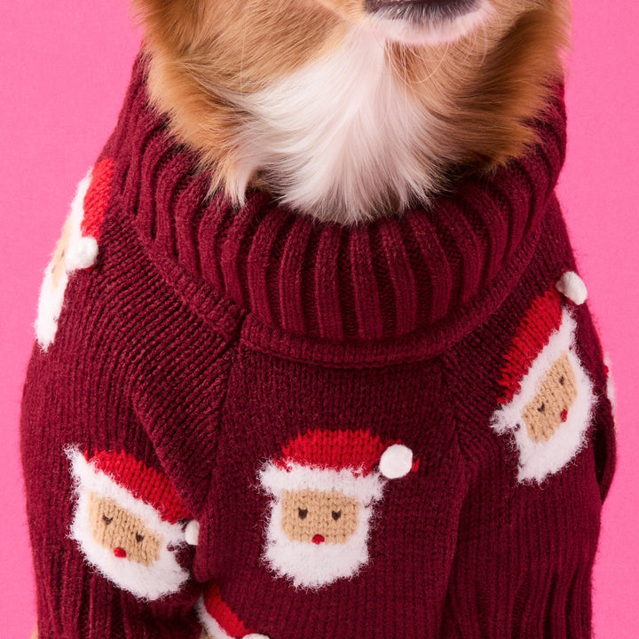Close-up of a dog's chest in the burgundy Santa sweater, showing its ribbed neck and raised white beards.