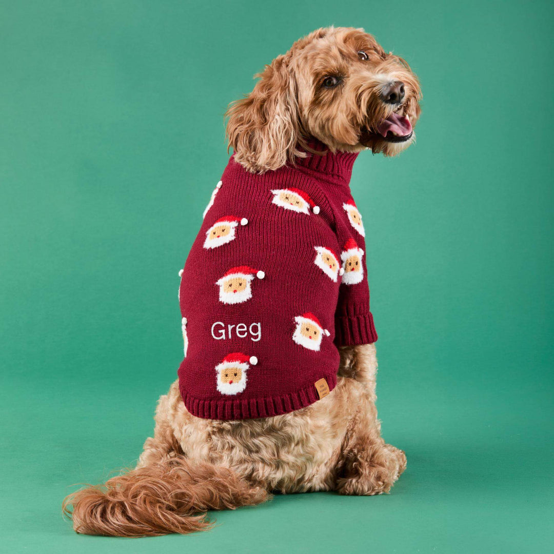 Golden dog seated against green, looking back in a burgundy Santa-face sweater.