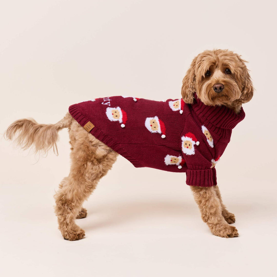 Side view of a standing golden dog wearing the burgundy Santa-face Christmas sweater.