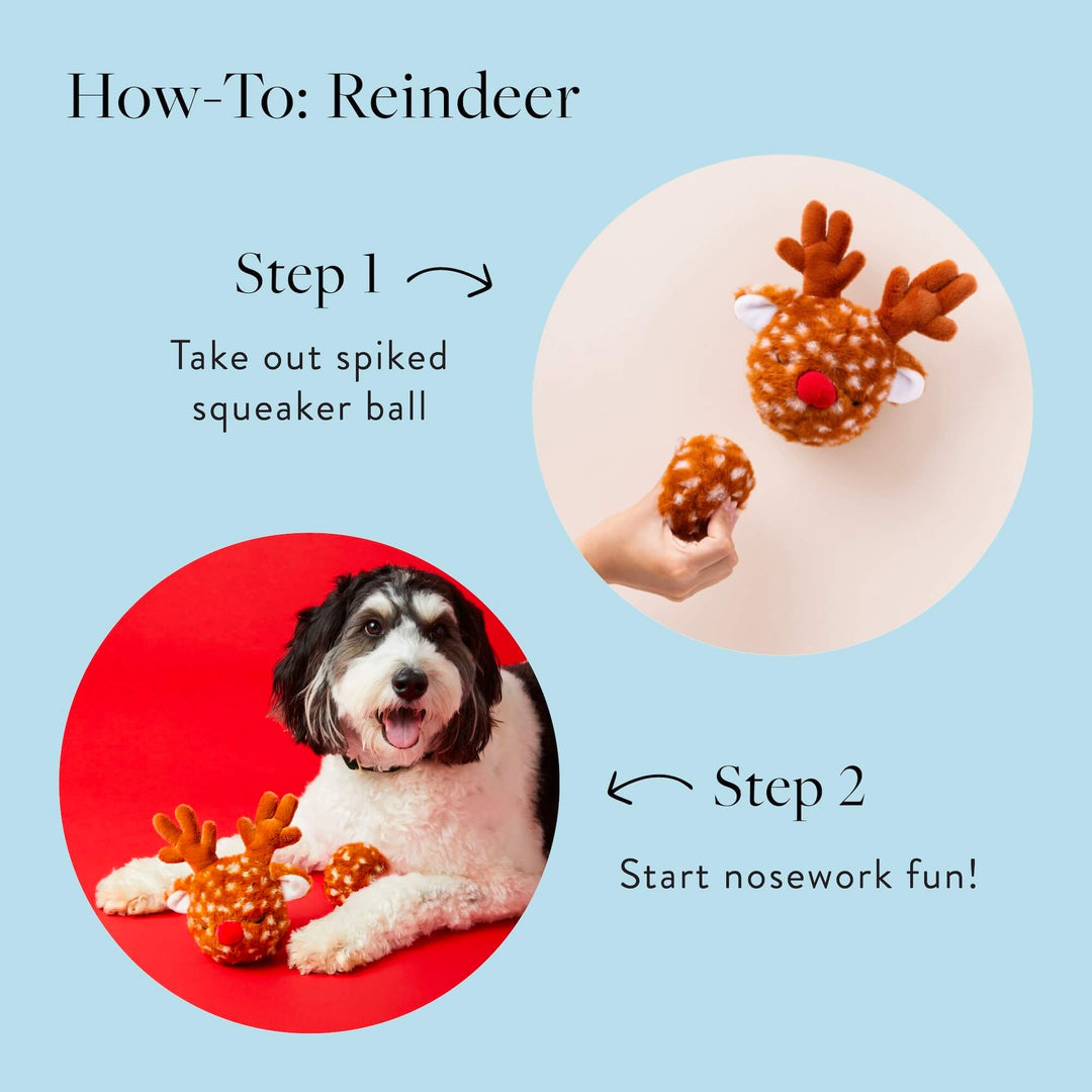 How-to graphic for the reindeer: take out the squeaker ball, then start nose work