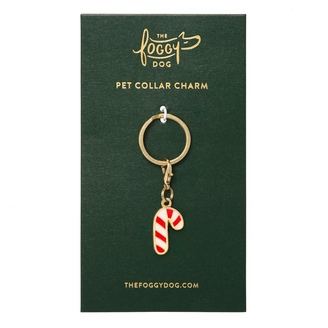Candy cane enamel dog collar charm displayed on a green Foggy Dog backing card with gold hardware.