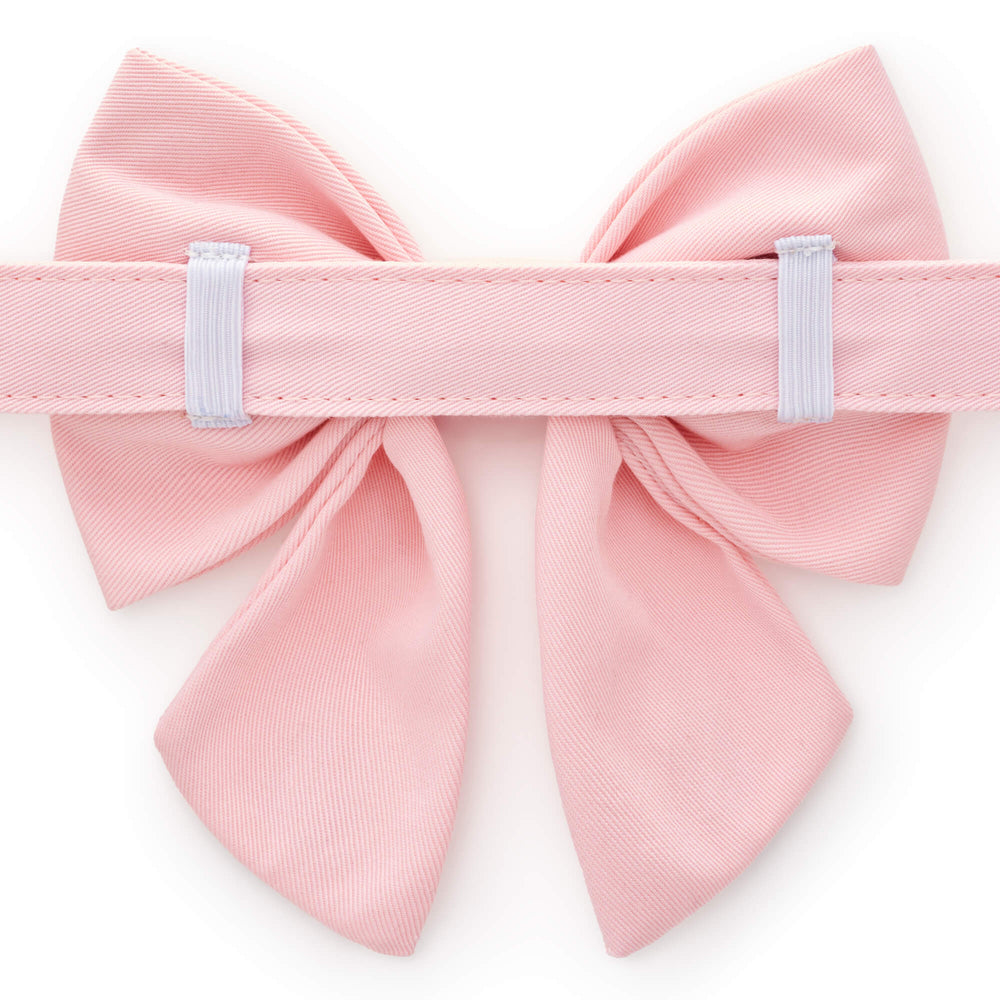 Back of the blush pink lady bow showing two elastic loops slid onto a matching pink collar