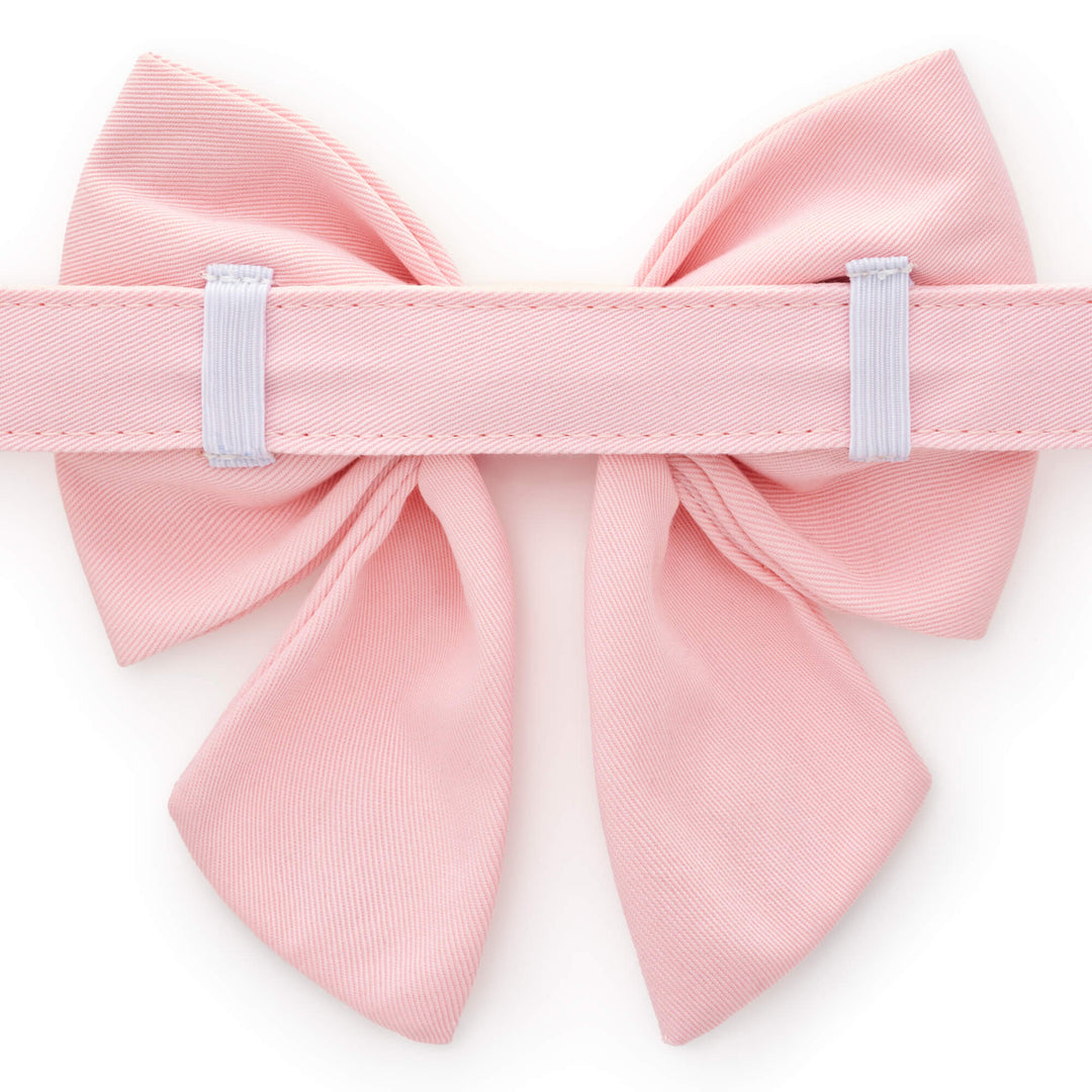 Back of the blush pink lady bow showing two elastic loops slid onto a matching pink collar