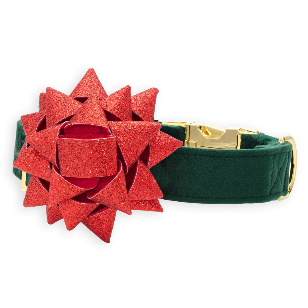 Forest green velvet dog collar with a glittery red gift bow and gold buckle on white.