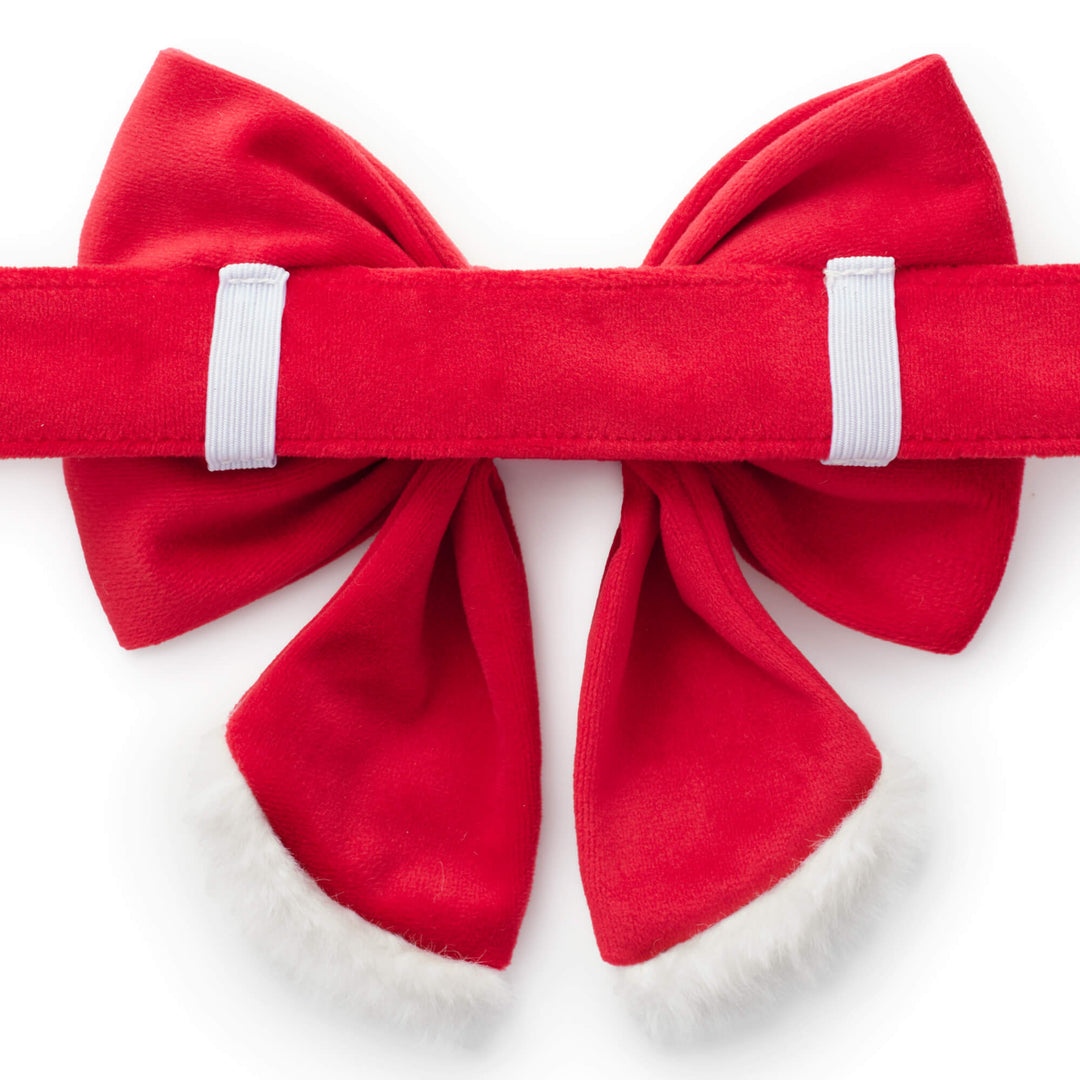 Back of the Santa lady bow with two white elastic loops threaded onto a red collar