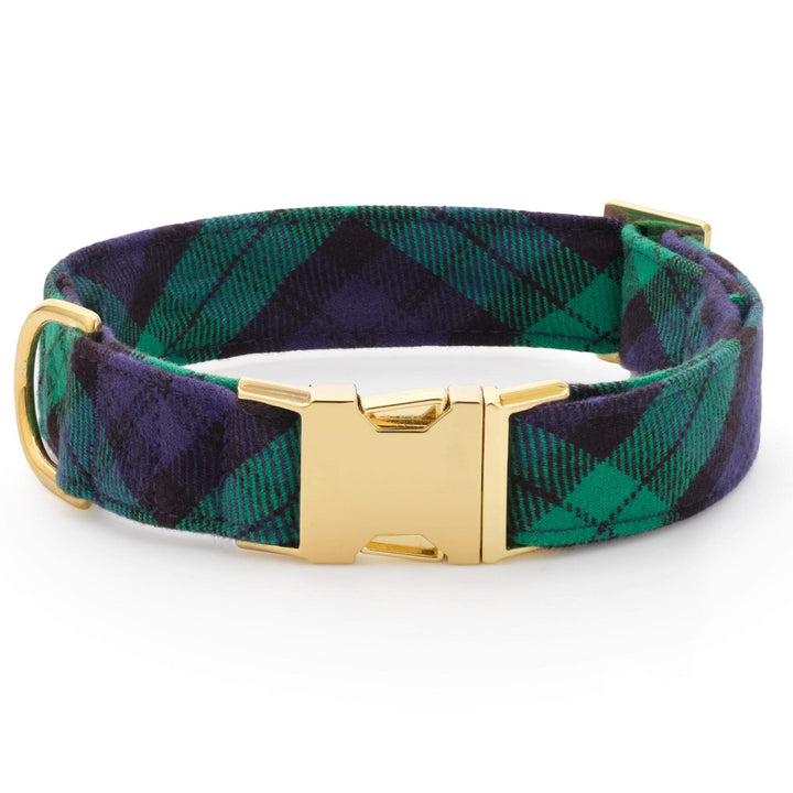 Black Watch plaid flannel dog collar in navy and green with a gold buckle, front view on white