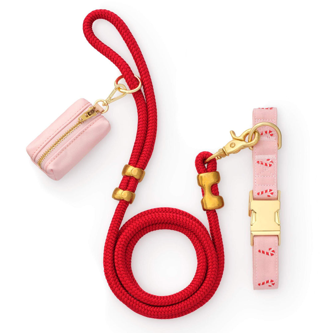 Red rope leash, blush canvas bag holder, and pink candy cane embroidered collar on white