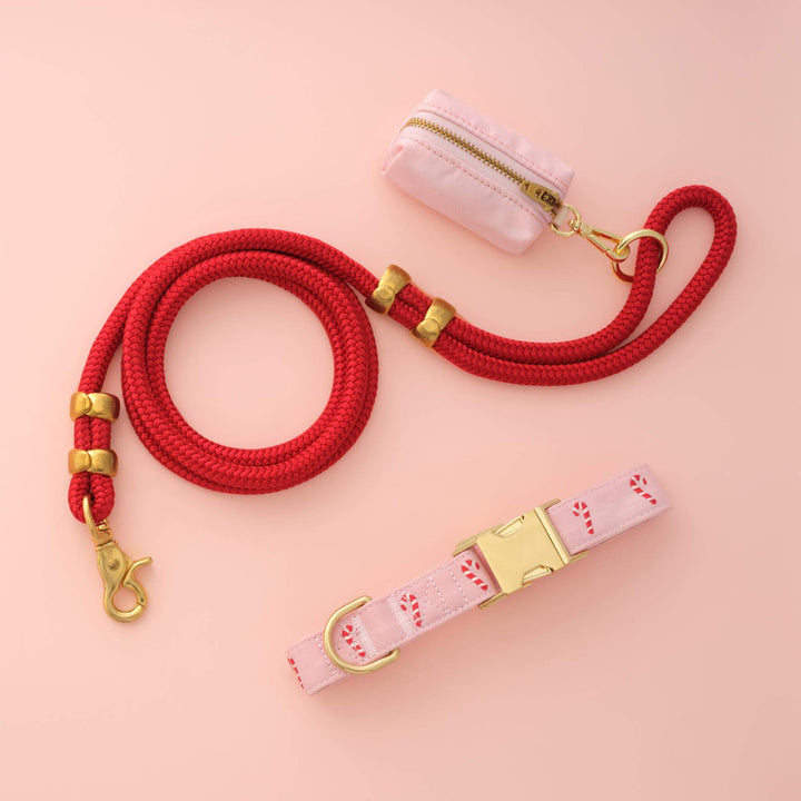 Candy cane collar, red rope leash, and blush bag holder arranged on a pink backdrop